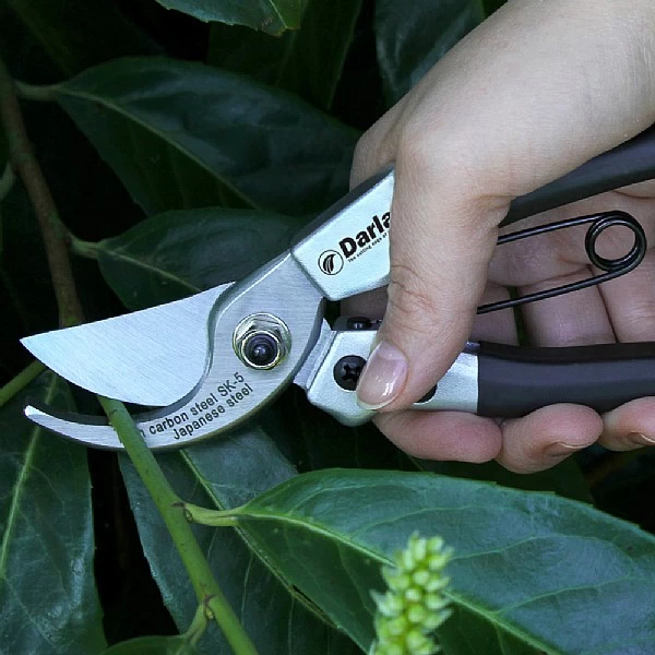 Darlac Compact Pruner - Image 2
