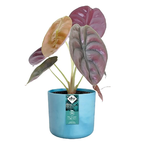 Elho The Ocean Collection Round Pot 22cm Atlantic Blue - Image 2