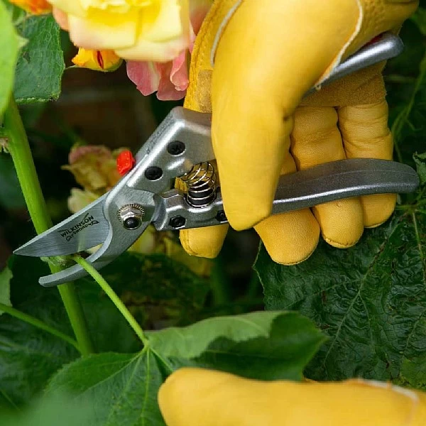 Wilkinson Sword Razorcut Comfort Medium Bypass Pruner - Image 2
