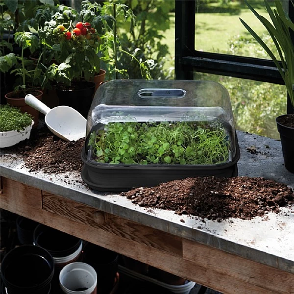 Elho Green Basics Allin1 Grow Kit Living Black