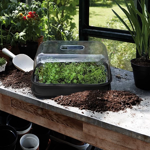 Elho Green Basics Allin1 Grow Kit Living Black - Image 2